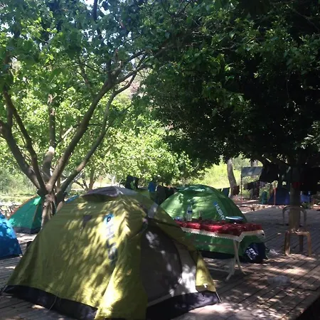Camping *